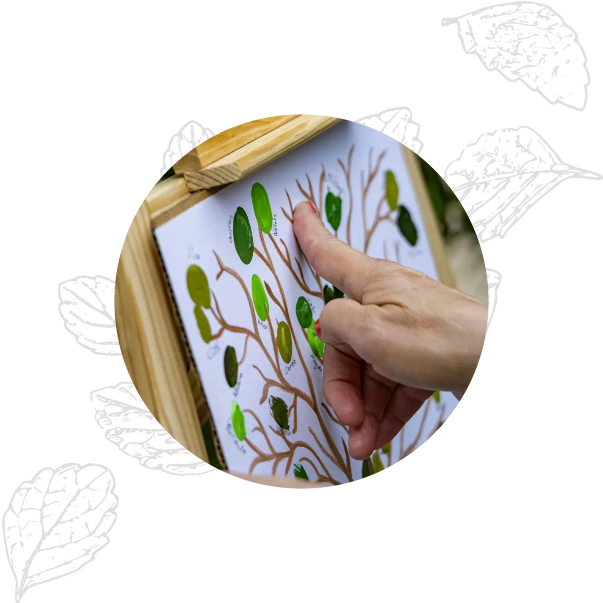 Discover name origins